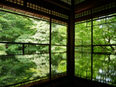 2019_5月　京都　青もみじを見に