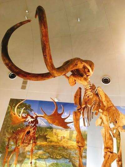 ☆見どころたくさん!冬の福井その1☆