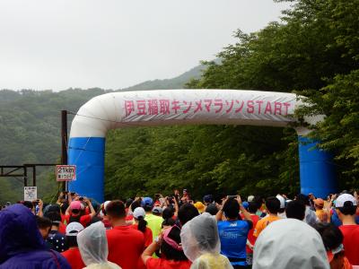 伊豆稲取　キンメマラソンの応援と下田観光の旅