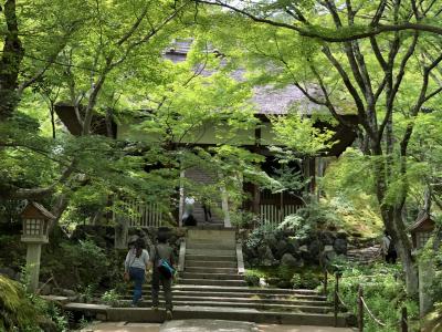 初夏の奈良・京都2019