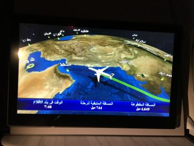 2019初めてのイタリア①(出発編 成田→ドーハ)