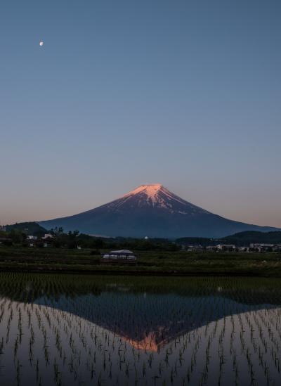 今年初めての山中湖ロッジ滞在　～田んぼに映り込んだ富士山を狙って～