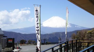 春の箱根　母子旅行