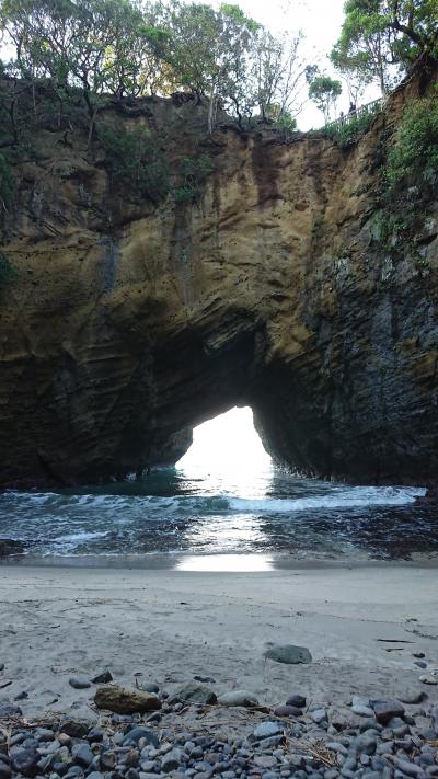 伊豆ジオパークへの旅(JR東日本のCMに誘われて)2日目:龍宮窟~白浜神社~大室山