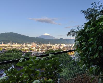 開成町紫陽花祭りと大井せせらぎの郷と今朝の富士山
