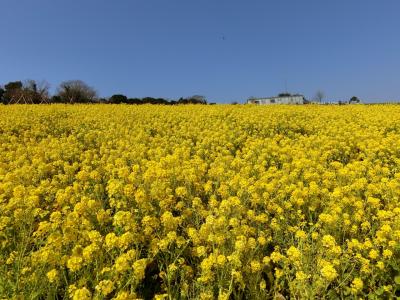 2019年3月淡路島　かんぽの宿淡路