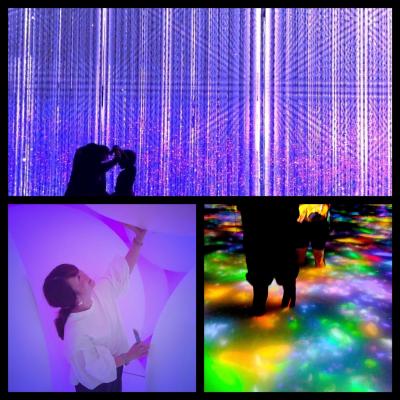 TEAMLAB 豊洲 と月島もんじゃの とある休日