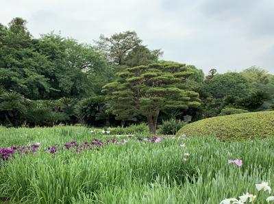 大宰府天満宮2+西日本駆け巡り
