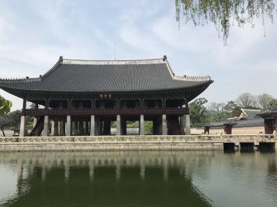 リベンジ韓国旅行！女子たび