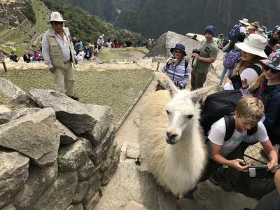 南米ペルー　マチュピチュ観光  素敵なインカの遺跡