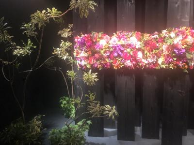 銀座で女子会！ 燃やさない お灸でシワ取り買って、花見とサラリーマンの新橋で飲み会