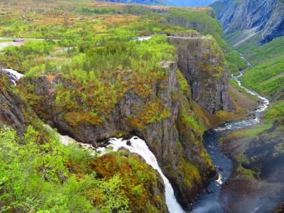 ノルウェー大自然に触れる旅　2019　ハダンゲルフィヨルドの大自然　「フィヨルドの女王」の絶景を堪能します。　⑤後編
