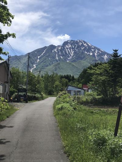 北海道旅行②～利尻ランニング大会から礼文観光～