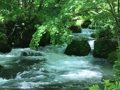 初夏の青森:奥入瀬渓流を歩く