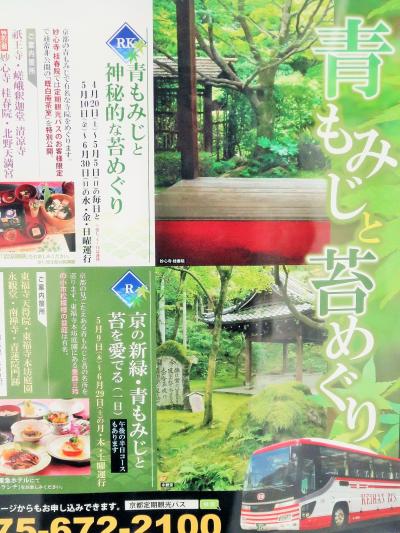 京都平成41　定期観光バス〔青もみじと苔めぐり〕芸妓号で　☆嵯峨野/広沢池/妙心寺など