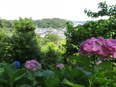 東急・江ノ島きっぷで行く長谷寺あじさい鑑賞日帰り旅