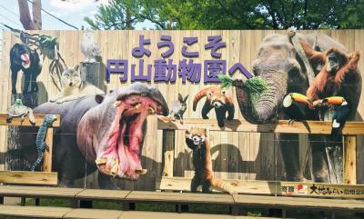 日帰り札幌 円山動物園