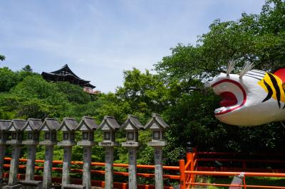 近江・奈良旅2019～改元記念・古代の都を訪ねる～ ＊三日目（信貴山・法隆寺）