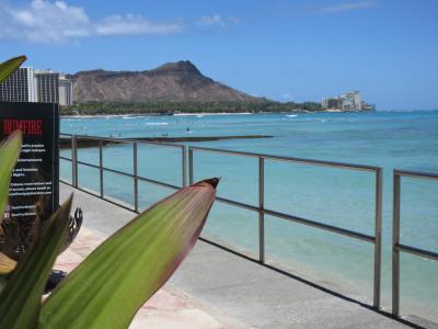 2019年ハワイ…また行って来ました。1日目前半