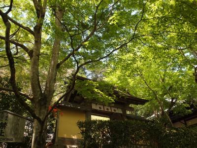 新緑の京都　二日目【2】　大原散策、寂光院・青もみじの三千院