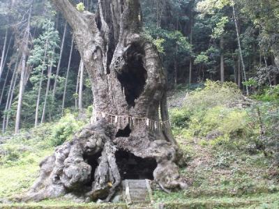 「心華やぐミステリーツァー」