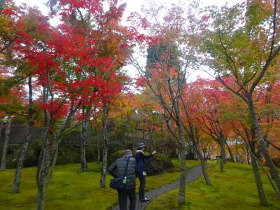 【2016年 第3回両家家族旅行】神奈川県の箱根温泉へ