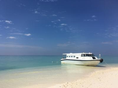 東南アジア　アラ還（暦）夫婦の放浪の旅　コタキナバル編　⑧