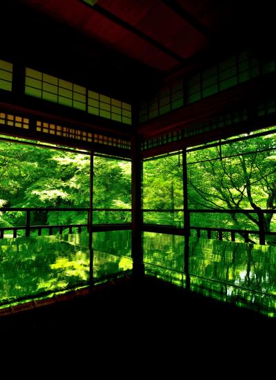 今年もやってきた瑠璃光院の夜間ライトアップだが昼と夜の部両方拝観したら、なんとまあ~拝観料が8000円と京都1高い料金に驚かされた(+_+)