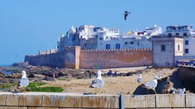 忘れられないモロッコの旅　11．港町エッサウィラをのんびり散策