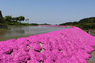 花めぐりツーリング