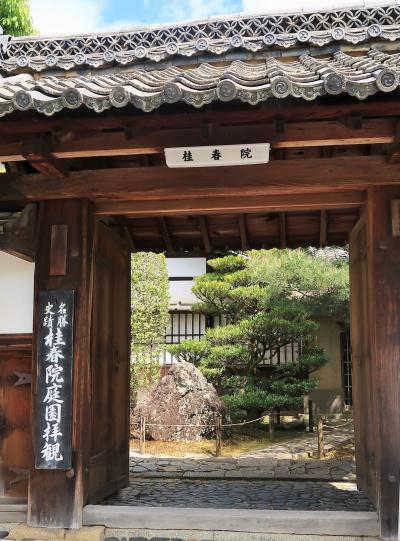 京都平成47　妙心寺-塔頭・桂春院を訪ねて　☆隠された茶室-既白庵があり