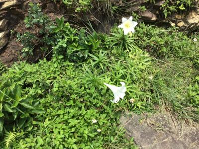 アラ還夫婦のプチ移住②