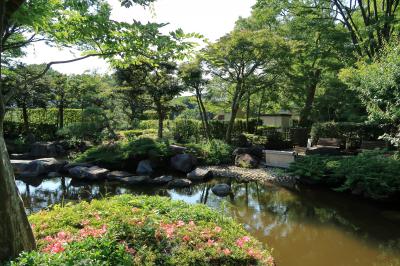 庭園を見に大磯城山公園（神奈川県大磯町）へ・・・