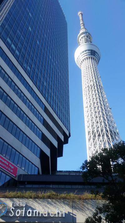 東京ぶらぶら～2017年・スカイツリーとハリネズミ