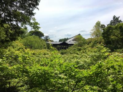 新緑の京都