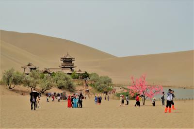 【中国・シルクロード/４】砂漠のオアシスに梅の花!?鳴沙山で悠久の風に吹かれて（敦煌/後編）