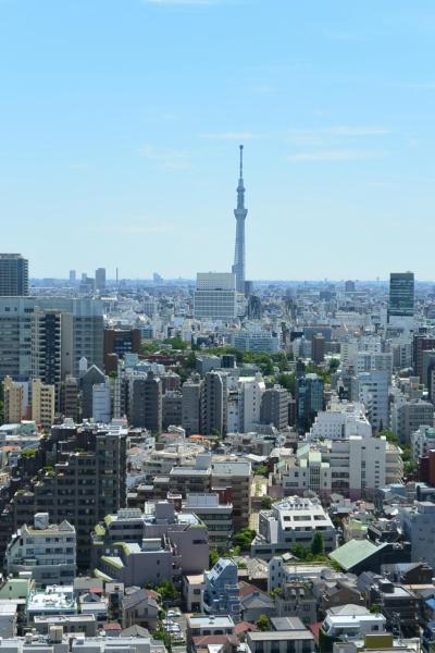 梅雨の東京をぶらぶら ６月　後編