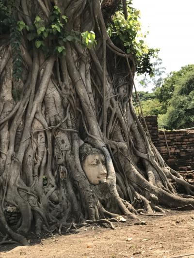 低予算旅バンコク⇒アユタヤ