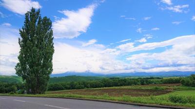 某会、ついに北の大地へ集う　奇跡の晴れ、美瑛編