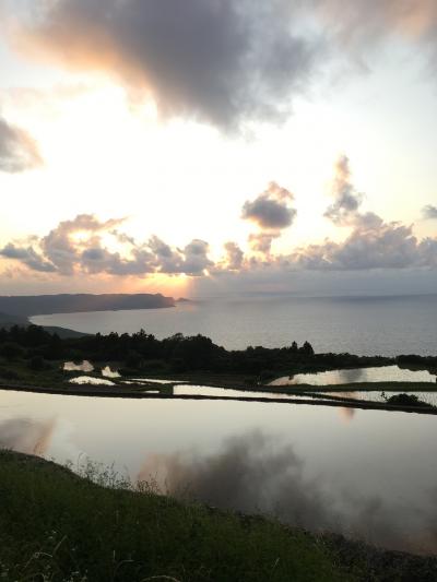 梅雨なのに、ここだけ晴れてた山陰の旅 (前編)  萩は夏ミカン