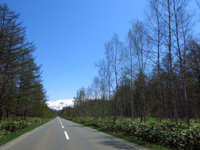 旭川と札幌　～あんなところ、こんなところ～