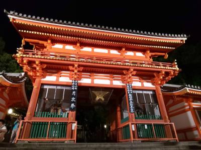 ２０１９．５．３０～６．１　１９回目の結婚記念日旅行は青紅葉の京都と大阪　その４　～　夜の祇園　ご飯のお店選びは慎重に　～