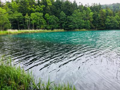 食べまくり北海道～釧路から十勝へ道東の旅2018①新千歳空港着～女満別空港へ