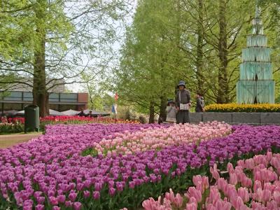 シニア＆子連れ オランダ・ベルギー　個人旅行　4日目　キューケンホフ公園