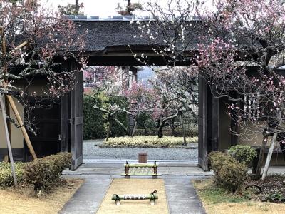 大磯プリンスの絶景スパでゆ~ったりスパ三昧+大磯グルメ、平塚BMWスタジアム。ふらっと湘南1泊旅行