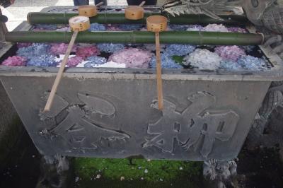 眼の観音様　柳谷観音楊谷寺の紫陽花　花手水にも癒される