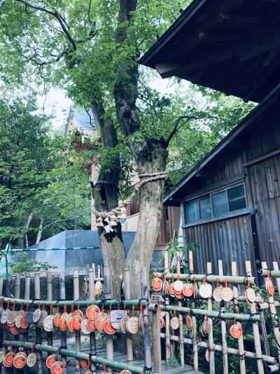 長崎旅行①雲仙温泉