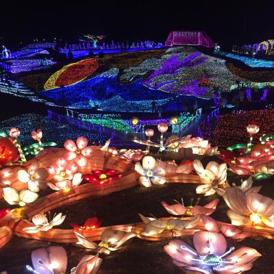 杜の湯 きらの里へ!ぐらんぱる公園イルミと噂のIZooを満喫