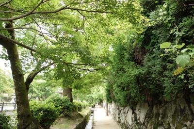 石畳の町 坂本ー旧竹林院・日吉大社・西教寺ー