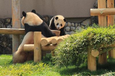 癒されたい☆初めまして大阪・和歌山 2日目